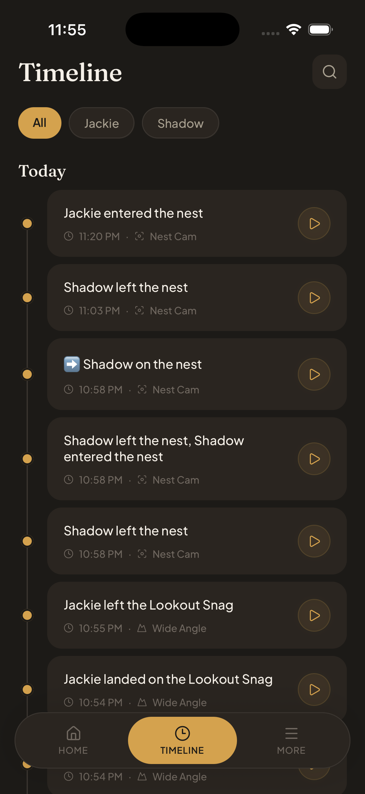 Eyrie activity playback — tap any event to watch what happened